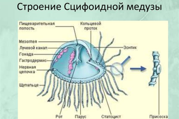 Кракен купить порошок маркетплейс