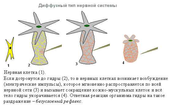 Как вывести деньги с kraken